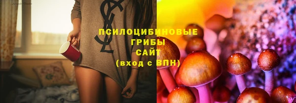 МДПВ Жердевка