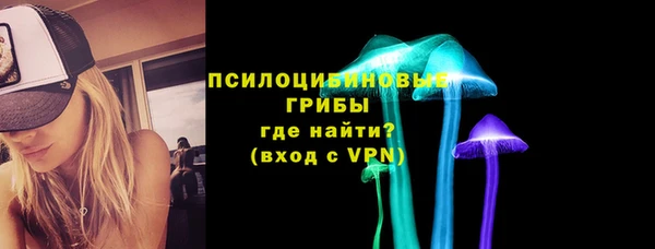 хмурый Пестово