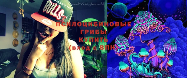 молекула духа Железногорск-Илимский