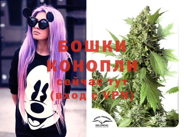 МДПВ Жердевка