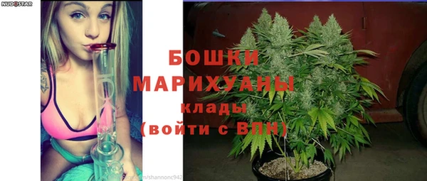 молекула духа Железногорск-Илимский